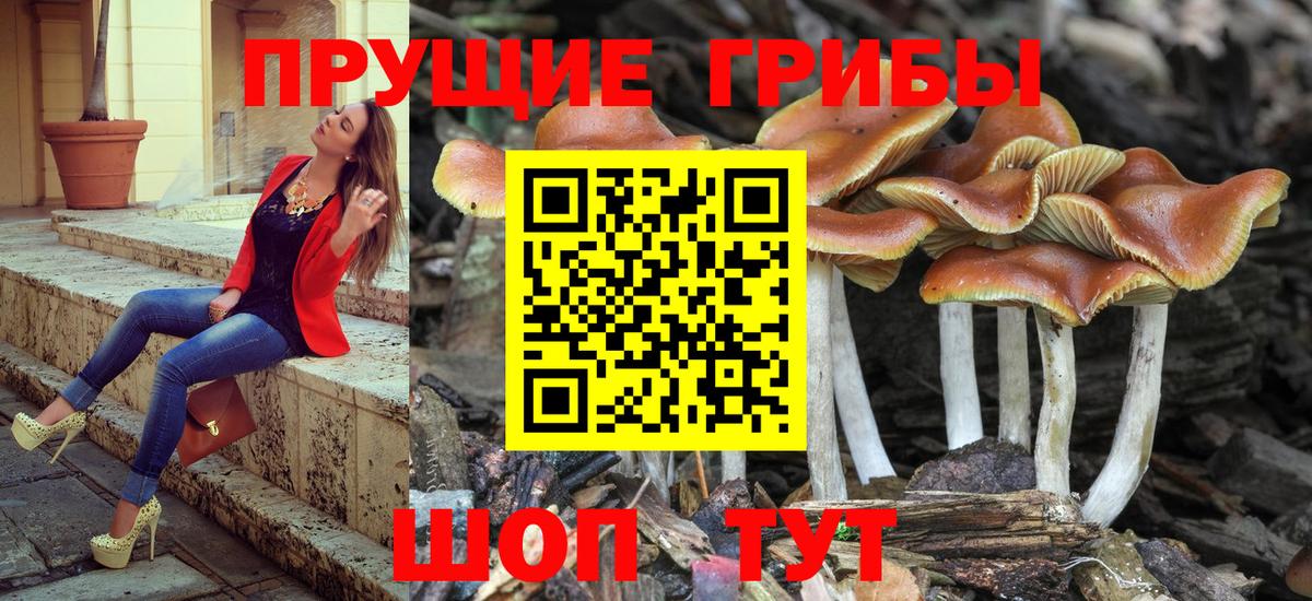 Галлюциногенные грибы мицелий Среднеуральск
